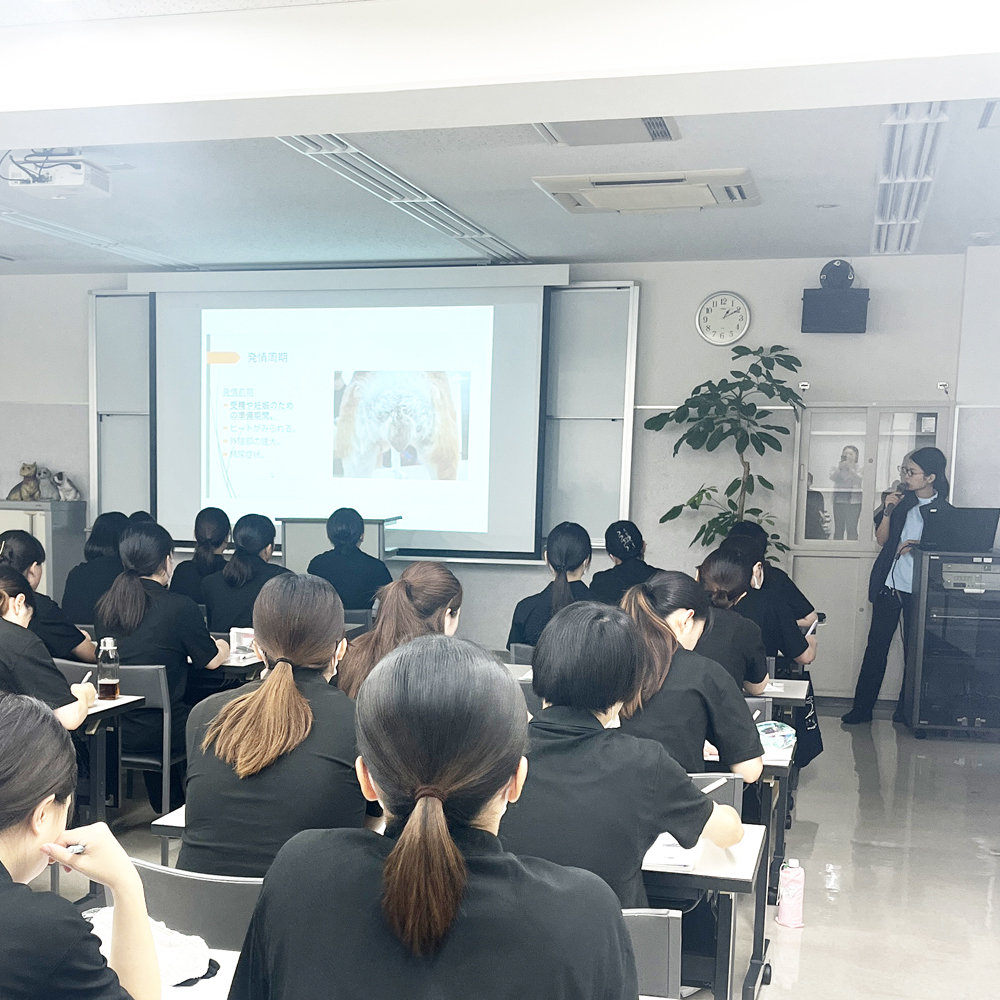 獣医学もしっかり勉強☆